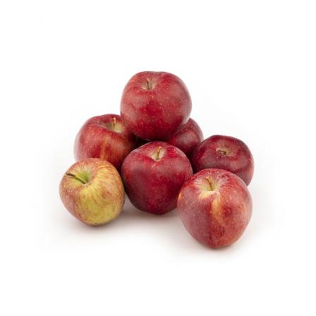 عرضه مستقیم سیب درختی صادراتی با نرخ مناسب