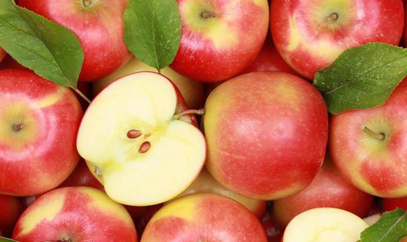 قیمت عمده سیب صادراتی درجه یک در مرکز ارومیه