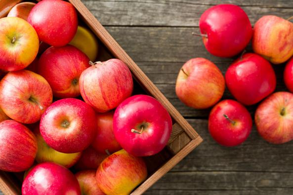 بررسی خصوصیات انواع سیب ارگانیک