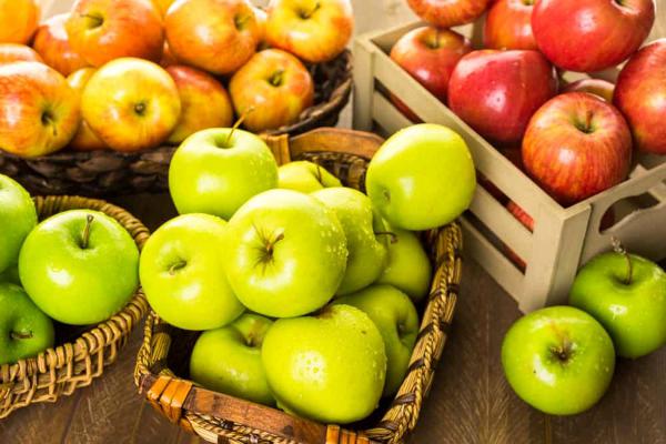خرید انواع سیب از میدان تره بار قم به صورت فله