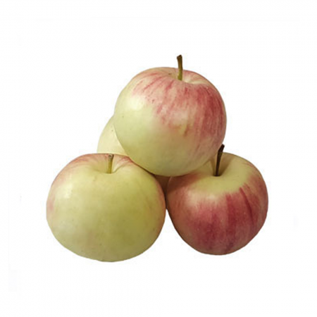 سفارش انواع سیب گلاب ارزان قیمت از تولیدکننده