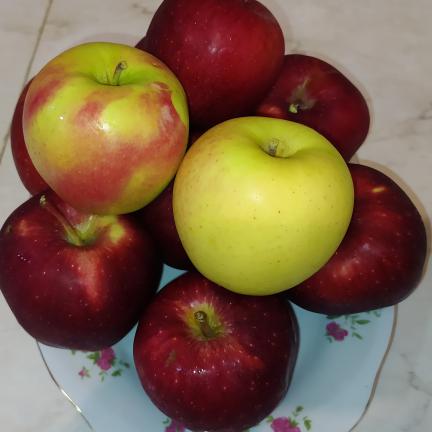 پارامترهای تعیین قیمت انواع سیب