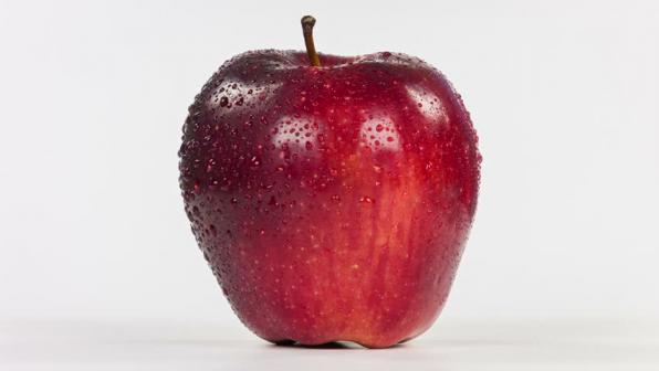 توزیع کنندگان عمده سیب قرمز مرغوب در کشور