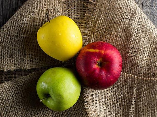 اطلاعات کلی از بهترین سیب های کشت شده در ایران