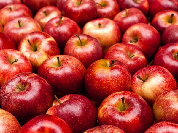 بررسی خصوصیات سیب باکیفیت ارزان قیمت