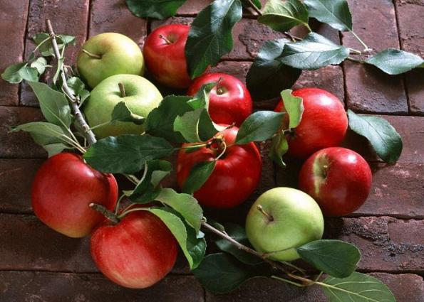 پخش سیب صادراتی در سمیرم با بهترین کیفیت
