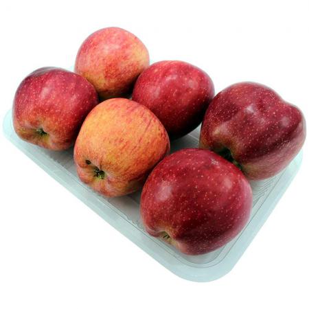 بهره گیری از تمام ظرفیت ها برای صادرات سیب