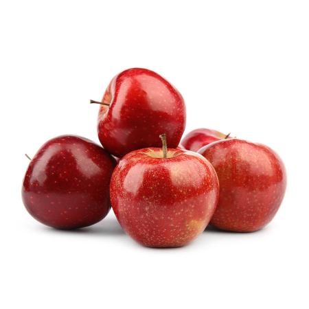 سفارش خرید سیب صادراتی از تولیدکننده