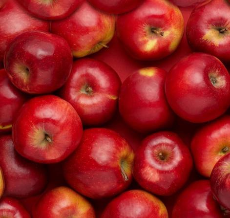 بررسی مشکلات صادرکنندگان سیب باکیفیت