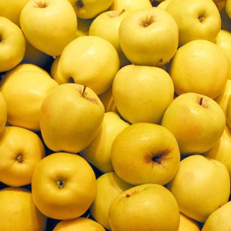 قیمت استثنایی انواع سیب زرد صادراتی در ارومیه
