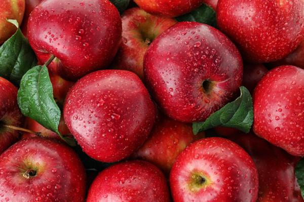 قیمت عمده سیب صادراتی مرغوب در مراکز فروش دماوند
