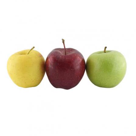 تامین کنندگان سیب درختی کوچک با نرخ مناسب