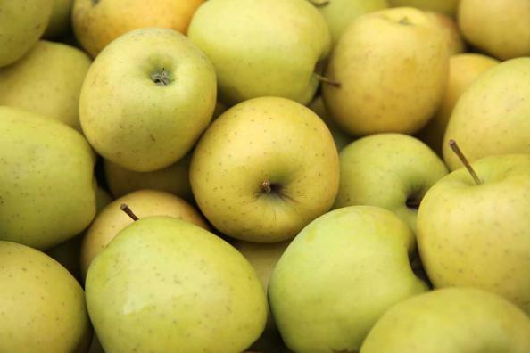 پخش سیب زرد به صورت کیلویی با نرخ ویژه