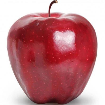 ویژگی های ظاهری سیب درختی باکیفیت