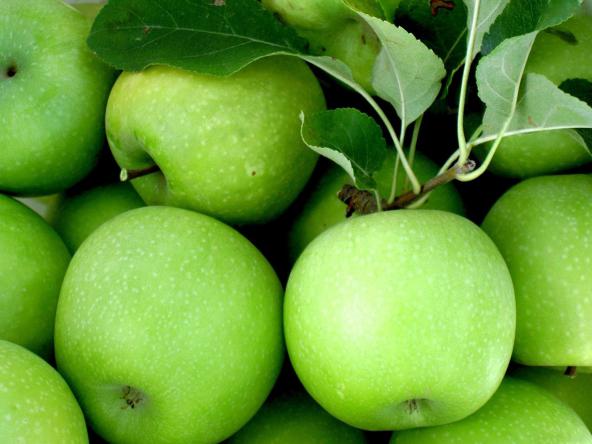 مرکز فروش سیب سبز درجه یک در شهر تهران