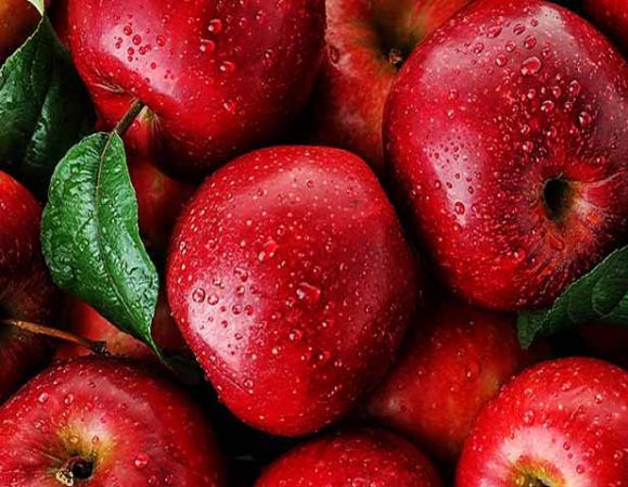 راهنمای انتخاب بهترین سیب برای صادرات