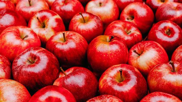 بازار فروش سیب درختی باکیفیت در کردستان 