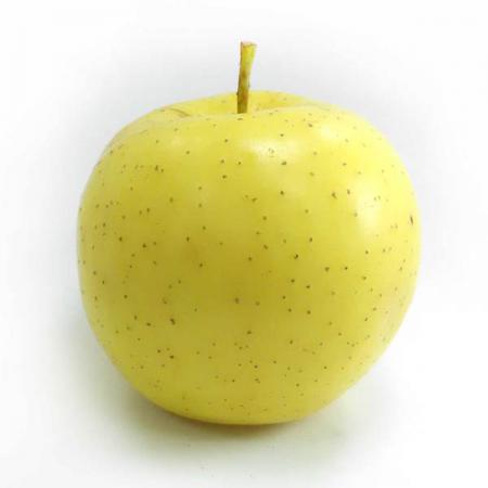 اطلاعات کلی از انواع سیب مناسب برای صادرات