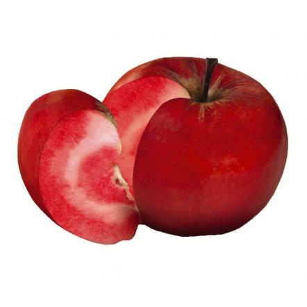اطلاعات کلی از کیفیت انواع سیب موجود در کشور