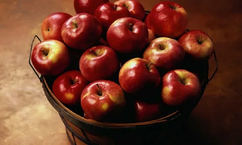 سیب سرخ ایران